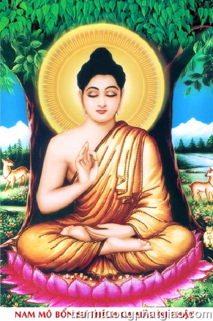 Bổn Sư Thích Ca Mâu Ni Phật (342)